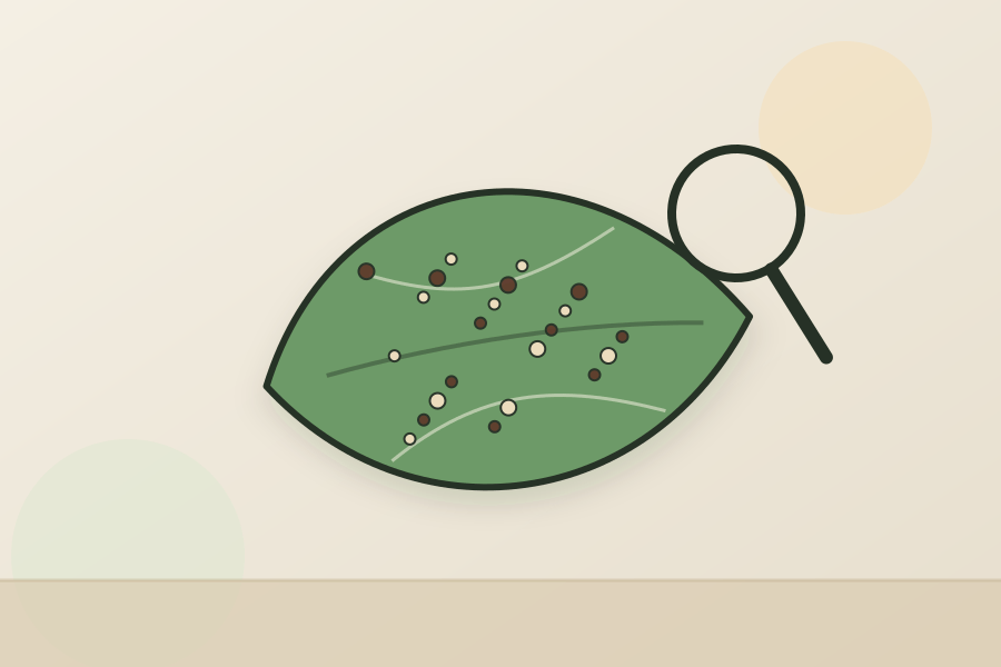 Fungus Gnats in Houseplants illustration