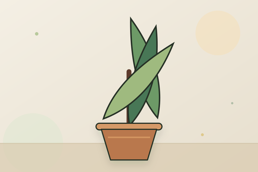 Dieffenbachia houseplant