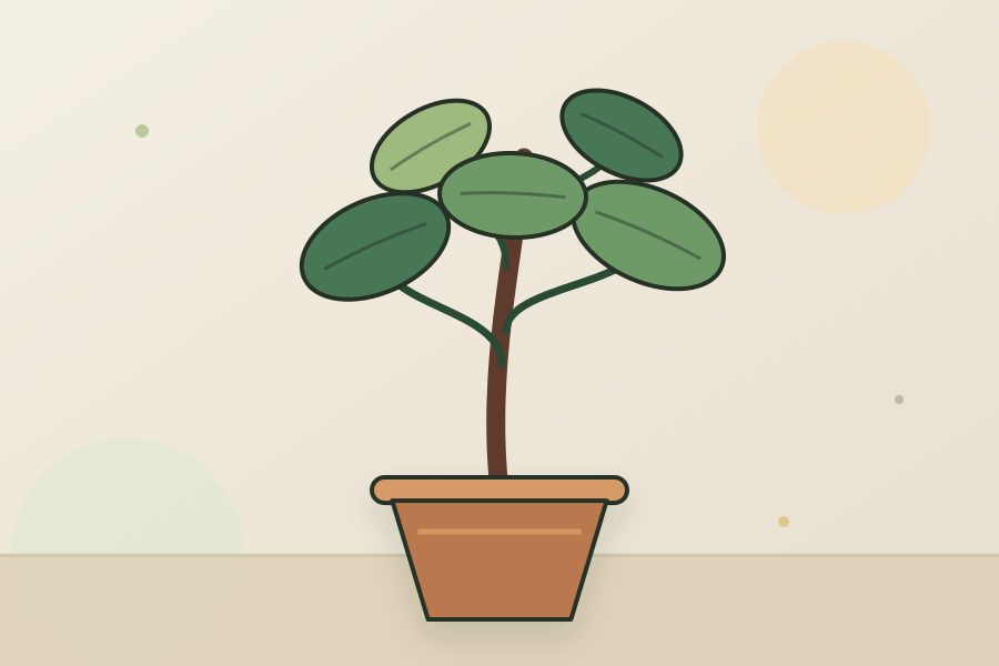 Rubber Plant houseplant