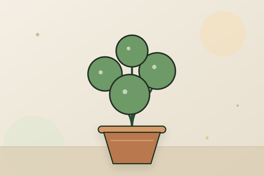 Chinese Money Plant houseplant