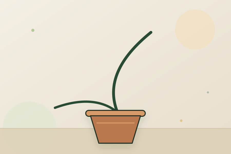 Pothos houseplant