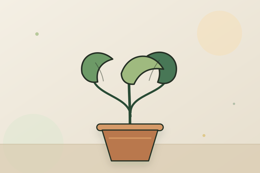Why Are My Plant Leaves Curling? illustration